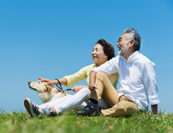 PRULink Investor Account