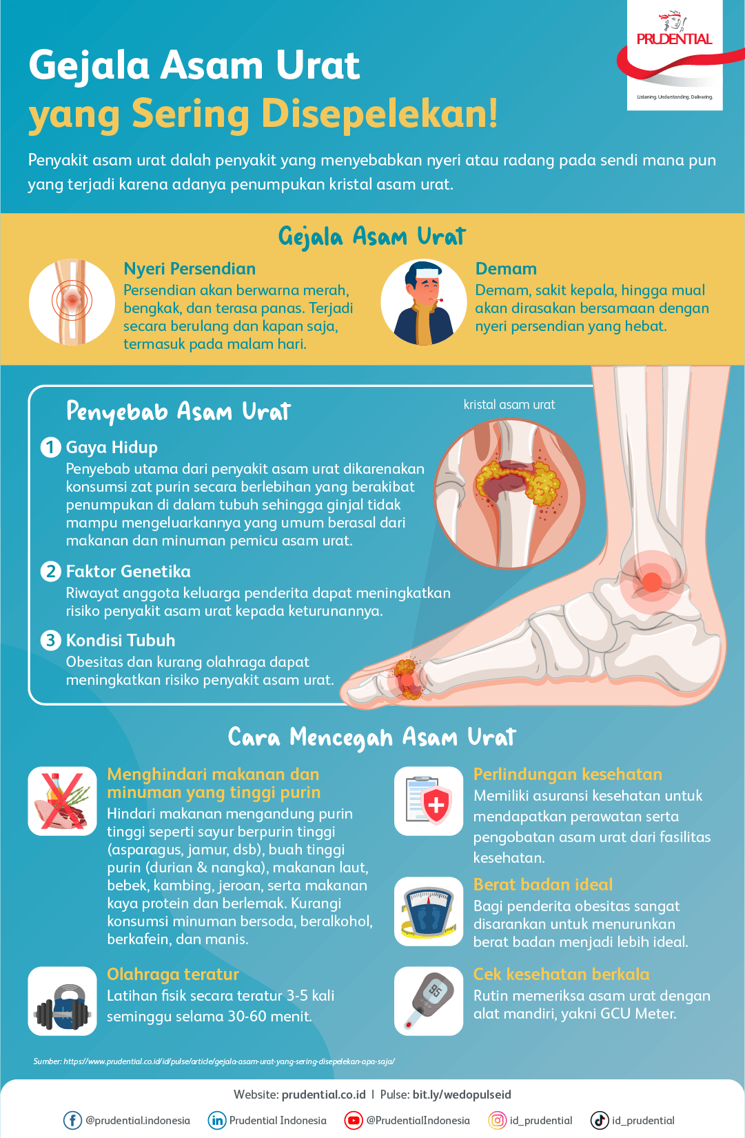 Infografis Pencegahan, Penyebab, Gejala Asam Urat