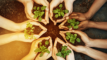 Bantuan kemanusiaan Bagi Bencana Gunung Meletus Kelud