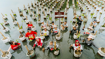 Prudential Indonesia Tanam 5.000 Mangrove di Hari Bumi