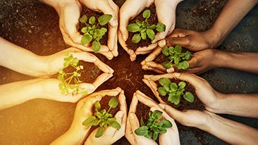 Alternative text for accessibility