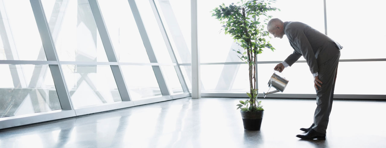 Alternative text for accessibility