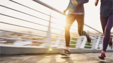 Alternative text for accessibility